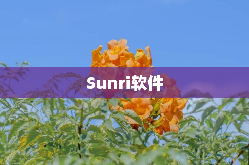 Sunri软件
