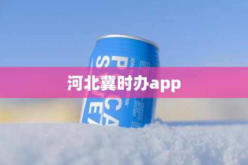 河北冀时办app