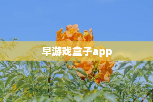 早游戏盒子app