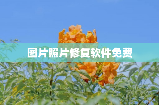图片照片修复软件免费