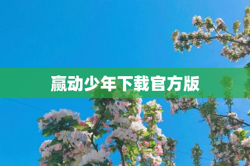 赢动少年下载官方版