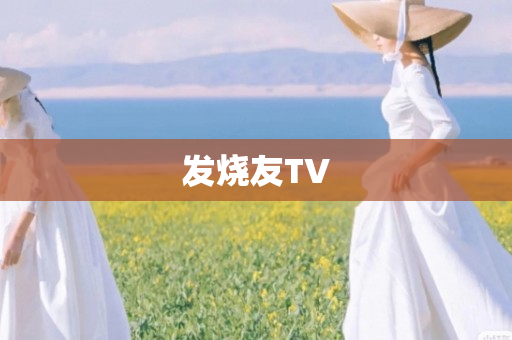 发烧友TV