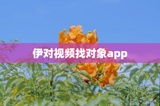 伊对视频找对象app