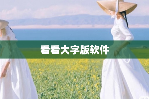 看看大字版软件