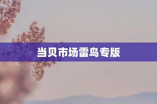 当贝市场雷鸟专版