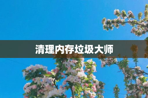 清理内存垃圾大师