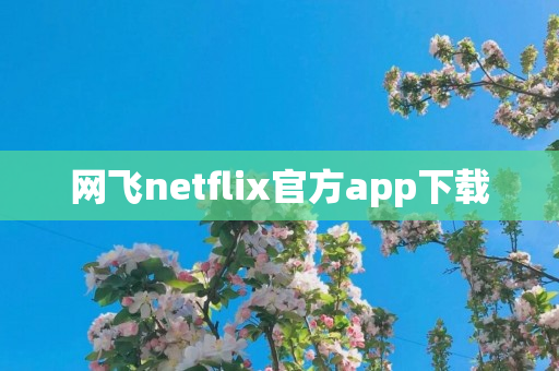 网飞netflix官方app下载