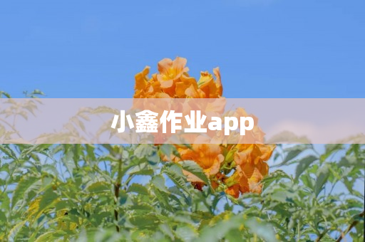小鑫作业app