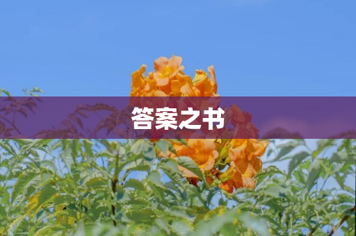 答案之书