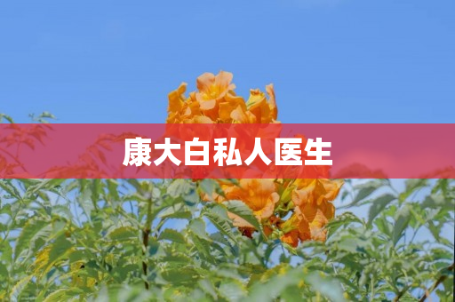 康大白私人医生