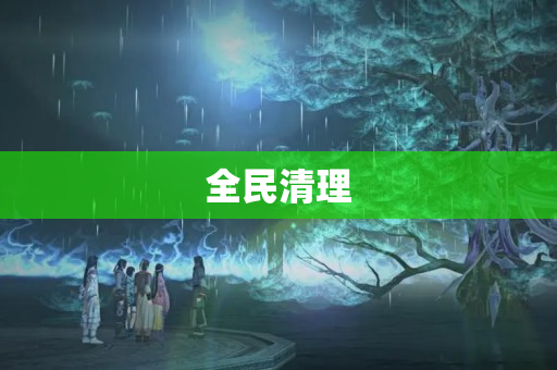 全民清理
