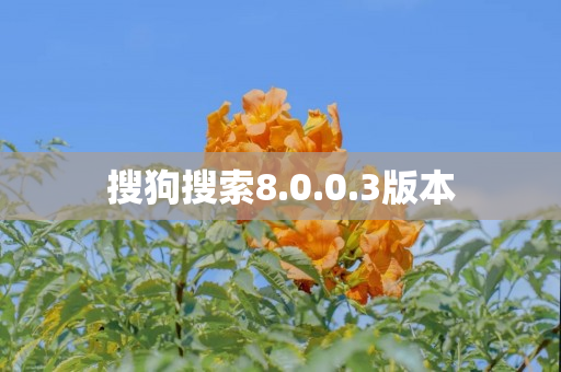搜狗搜索8.0.0.3版本
