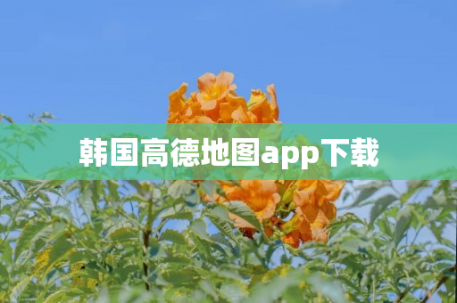 韩国高德地图app下载