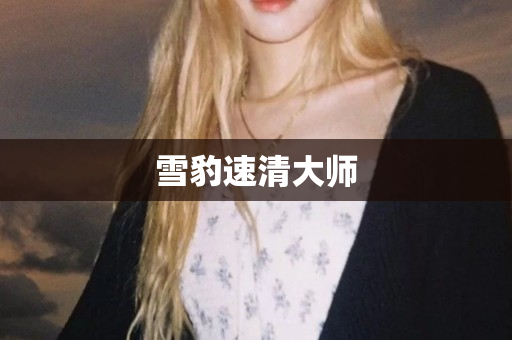 雪豹速清大师