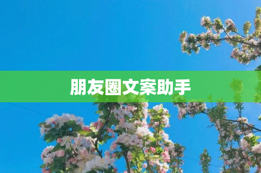 朋友圈文案助手