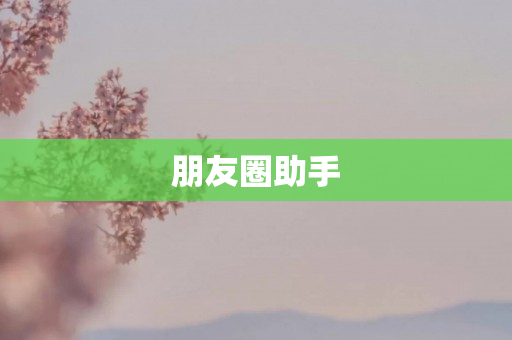 朋友圈助手