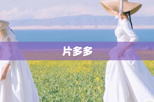 片多多