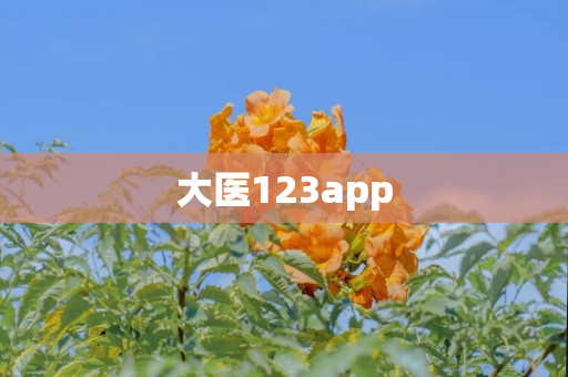 大医123app