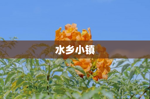 水乡小镇