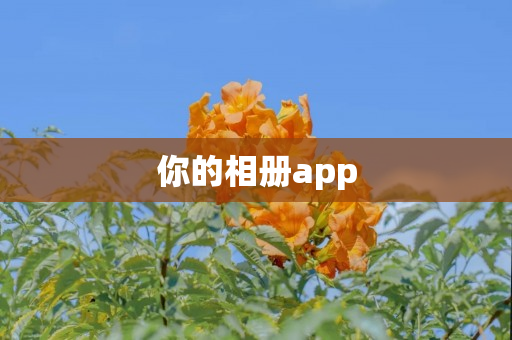你的相册app