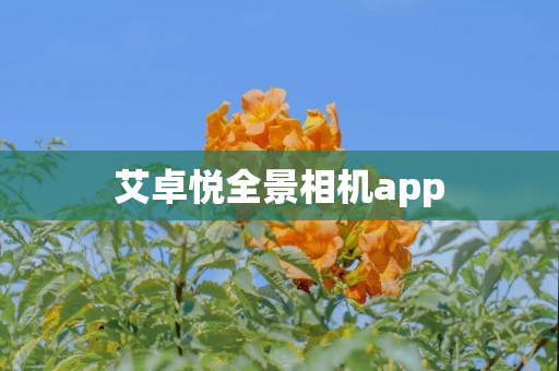 艾卓悦全景相机app