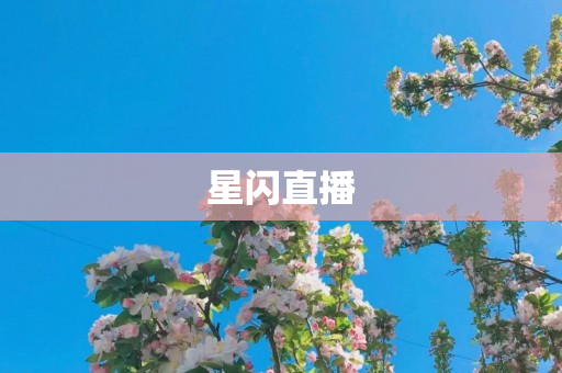 星闪直播