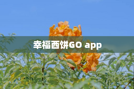 幸福西饼GO app