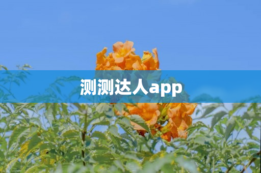 测测达人app