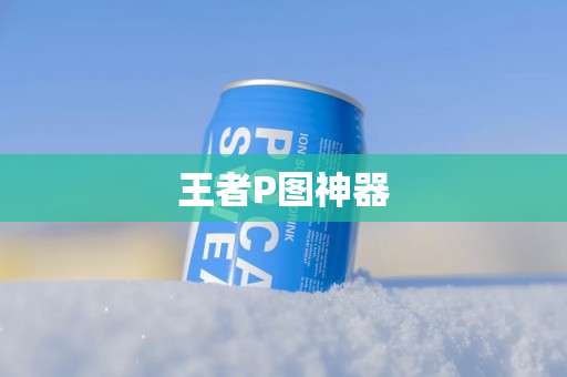 王者P图神器