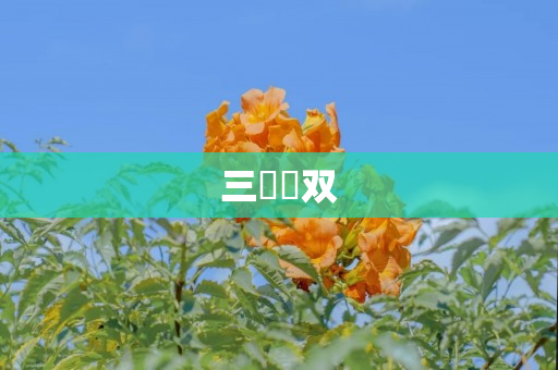 三國無双