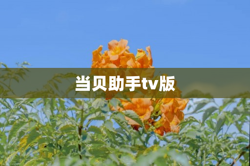 当贝助手tv版