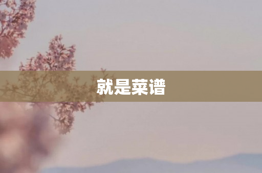 就是菜谱