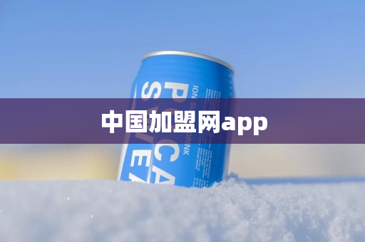 中国加盟网app
