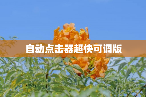 自动点击器超快可调版