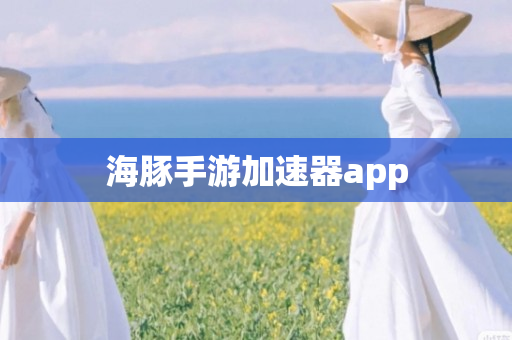 海豚手游加速器app