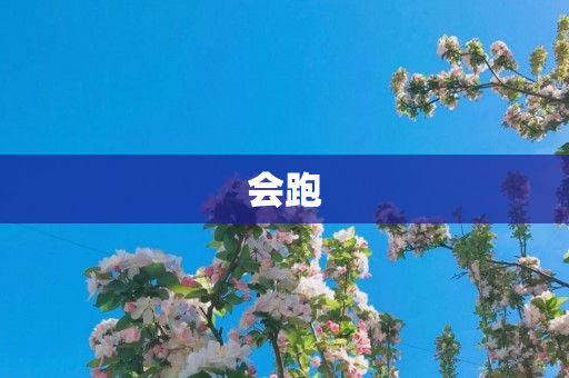 会跑