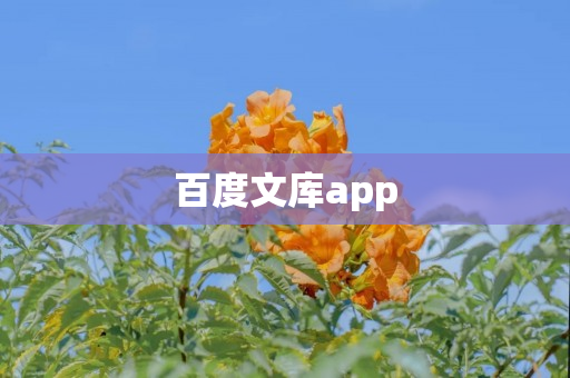 百度文库app