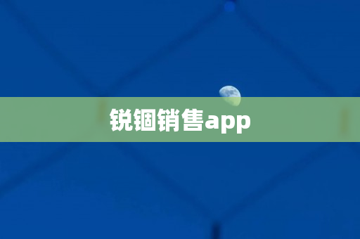 锐锢销售app