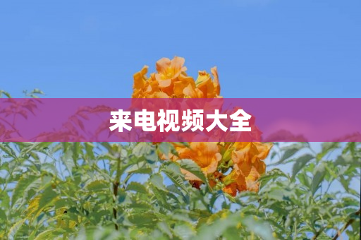 来电视频大全