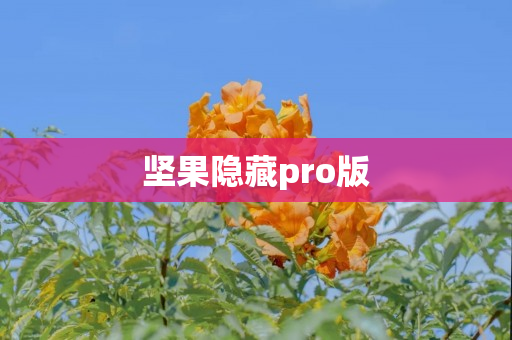 坚果隐藏pro版