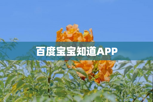百度宝宝知道APP