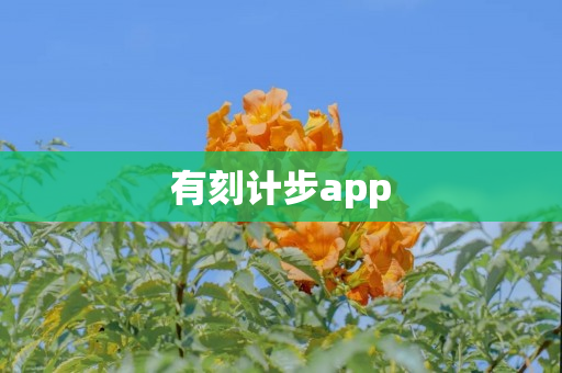 有刻计步app