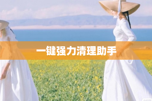 一键强力清理助手