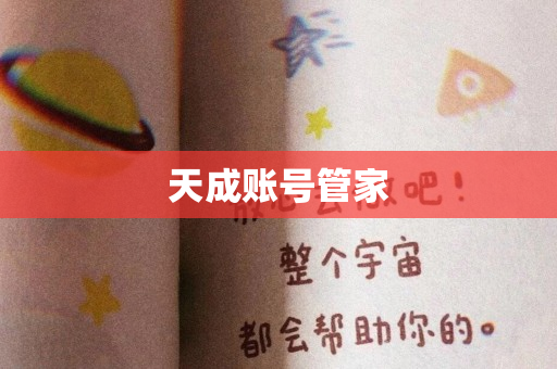 天成账号管家