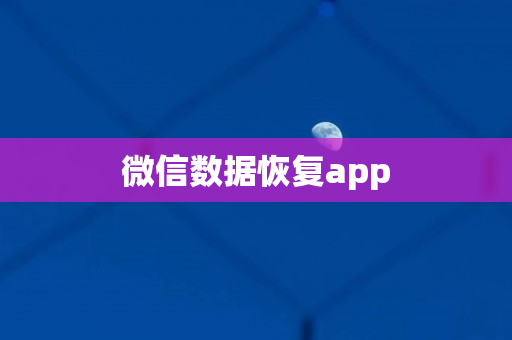 微信数据恢复app