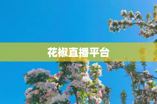 花椒直播平台