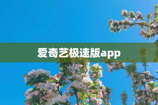 爱奇艺极速版app