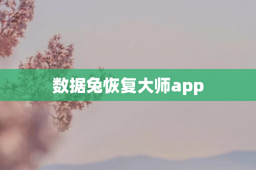 数据兔恢复大师app
