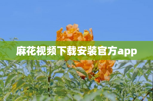 麻花视频下载安装官方app