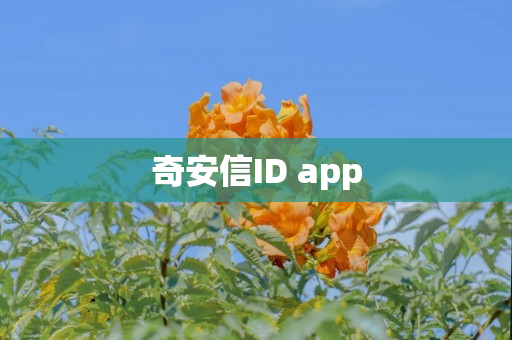 奇安信ID app